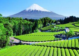 We provide platinum level service that will enrich your visitors stay in Japan.