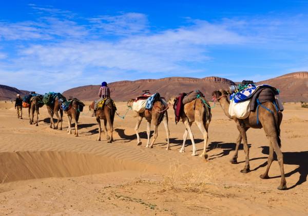 Day 3 : Into the Sahara Day 5 : Essaouira Day 7 : Back to Marrakech This morning we take a stunning drive towards Erg Chebbi, stopping by a 14th century irrigation well and intricate network of