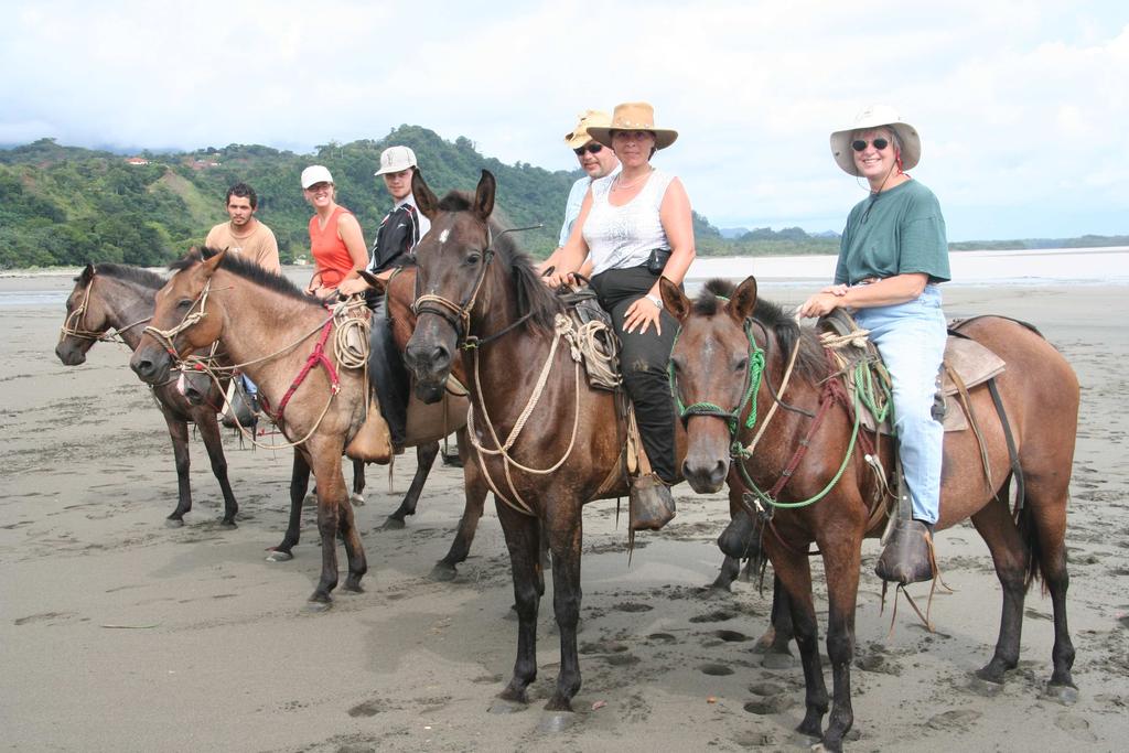 Lalo horseback tours in Ojochal Hiking Hot water springs Guided horseback tours starting
