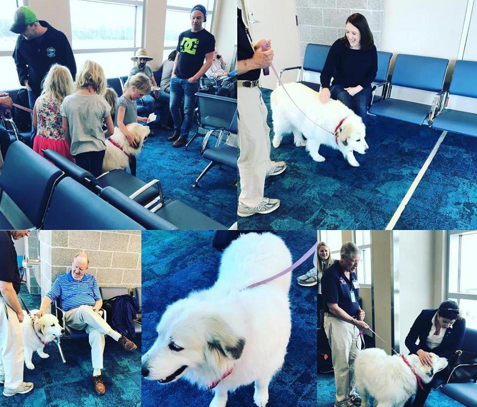 SNAPSHOT Our therapy dog Elsa loves to greet passengers and put smiles on their faces.