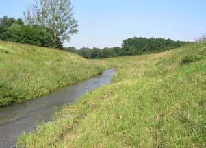 V glavnem zelo močno onesnažena (dandanašnji jo onesnažuje kmetijstvo, predvsem v preteklosti pa, ko so se vanjo izlivale kanalizacija in neprečiščene kužne vode usnjarne v Ljutomeru, je bila reki