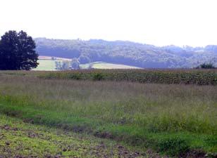 Slika 36: Južneje od reke se prične gričevnat svet Kamenščak katerega severna pobočja so poraščena z gozdom. Slika 37: Pogled s Kamenščaka na dno doline pri Cezanjevcih.