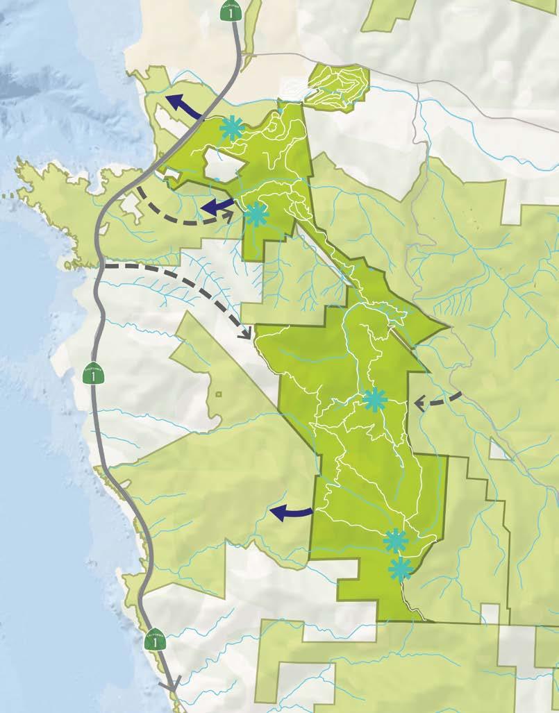 PREFERRED ALTERNATIVE - BACK COUNTRY UNIT Backcountry access by permit Hiking and trail opportunities within Palo Corona Regional Park Opportunities for trail connectivity to adjacent parks and open