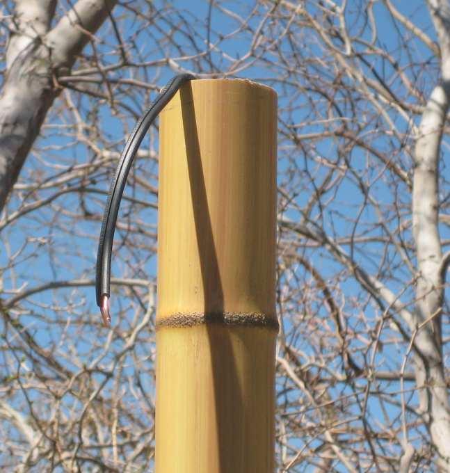 In the close up photo below, you will see our wires are protruding out of the top of the bamboo sleeve but you