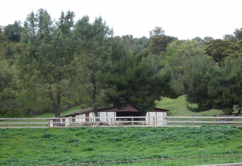 Templeton Gap, Sleepy Farm Ranch is a 382± acre ranch overflowing with possibilities.