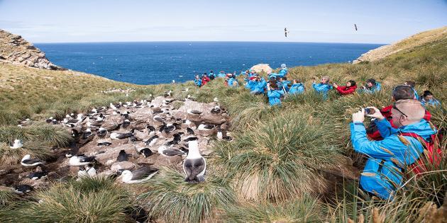 DAY 16 Bird lovers, rejoice Location: Falkland Islands We continue with our exciting on-board programme in the evening. Bird lovers will rejoice as we reach Carcass Island.
