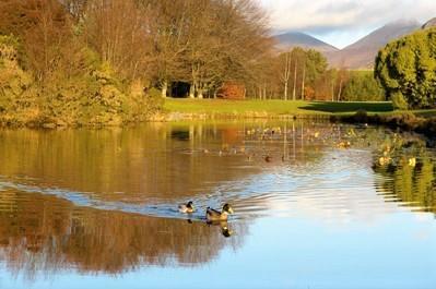 Springtime Gems of the Mournes Short Break Includes, 2 Nights B&B, Afternoon Tea on arrival Dinner for Two in our Restaurant. March Special Offer 115.00 Normal Price 145.