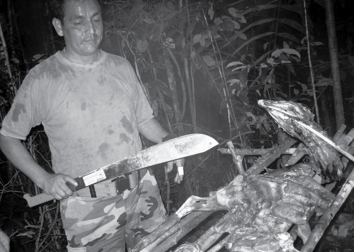While efficient use of a machete is an art, once you get the hang of it, you ll never go back to the thick, rigid blades that cut from brute force instead of true technique.