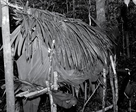 A jungle survival school participant s makeshift shelter, built using a machete and available materials in the jungle, then finished out with a mosquito net. simply stick the thin blade.