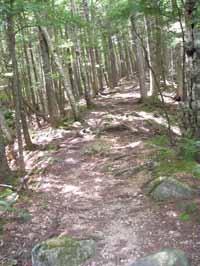 White Mountain National Forest Saco Ranger District Chapter 4.