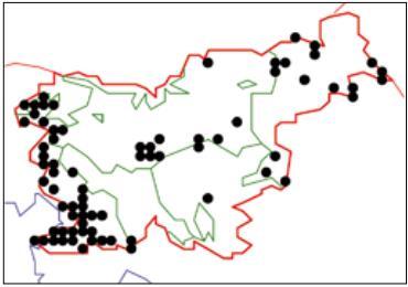 Slika 9: Razširjenost visokega pajesena v Sloveniji (Jogan N. in sod., 2012). Slika 10: Primer rastline s terena Ailanthus altissima - visoki pajesen (foto: Katarina Lazar, 2012).