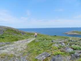 We spent an extra day on Fogo Island - it is so beautiful - and paid our respects to the Canadian Marconi Co Maritime Wireless Station historic site, before hiking a scenic meadow and cliff top 5.