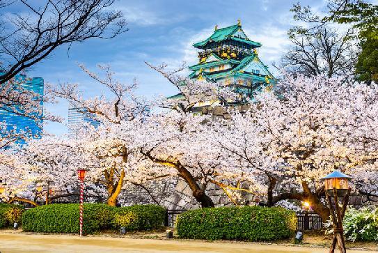 13 Day Fly, Cruise & Stay Grand Japan Springtime From only $4,699 Per Person Twin Share, Inside Cabin This price includes all of the following: Return
