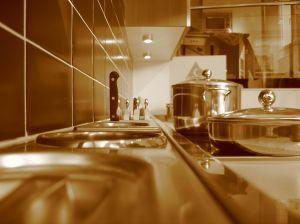 An Introduction: Knowing how to keep your kitchen safe and your family healthy mostly comes from experience and common sense.