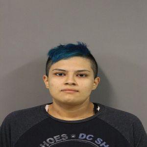 HERNANDEZ, BEATRIZ 5900 BLK S ALBANY AVE CHICAGO, IL CHICAGO, IL 60629 Sex: F Race: W Age: 25 Date of Arrest: 10/25/2018 at 0147 Arrest Location:
