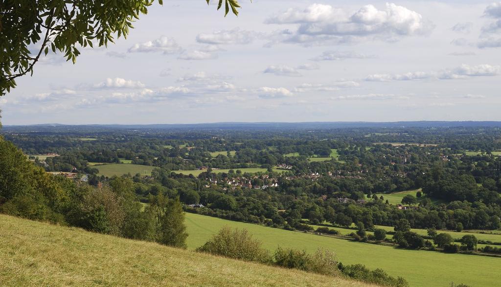 EAST SURREY Located close to London, East Surrey is a green and peaceful area. It is steeped in history, with historic towns and villages, country pubs and an excellent range of attractions.