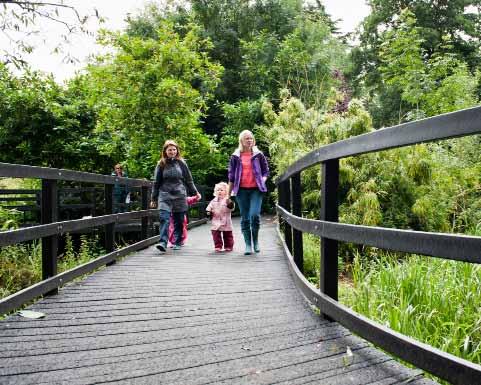 The recently renewed boardwalk allows views over tranquil pools and across the River Trent and beyond, whilst the sensory garden is packed with plants that stimulate your sense of smell, taste,