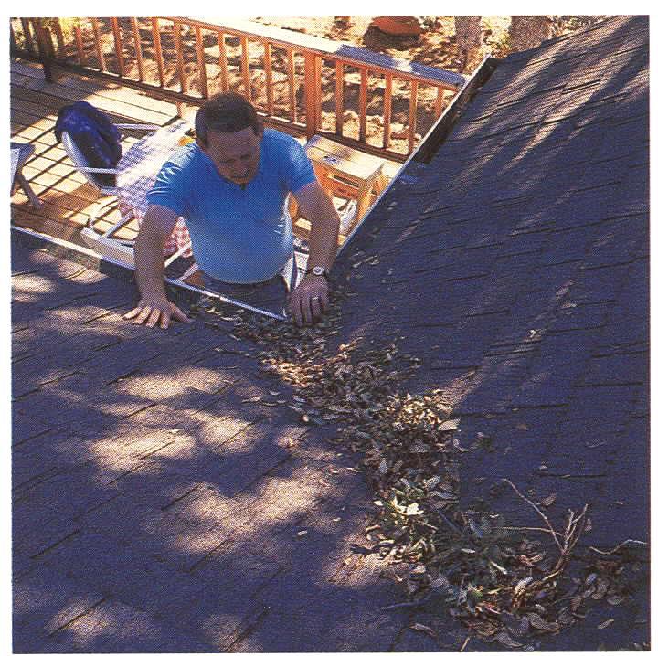 Leaves & Debris on Roof Remove pine needles, leaves or other debris from the roof of
