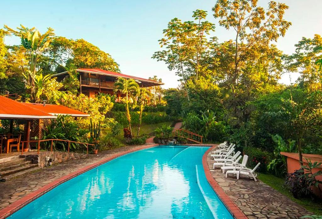 ECOLODGE Finca Luna Nueva, rated one of the top ten ecolodges in Costa Rica, is a living classroom, regenerative farm and recreational paradise located near the Children s Eternal Rainforest and