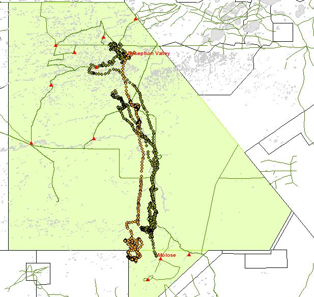 6 Movement (green for beginning of wet season and yellow for end of wet season) of Molly (named after Molose) between Khutse Game Reserve to Deception valley in the CKGR.