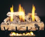 The full natural flames use a minimum of gas, offering moneysaving fuel efficiency.