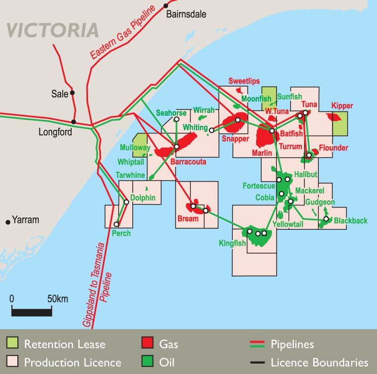 Bass Strait, Victoria Oil and gas One of BHP Billiton s most profitable assets Producing since 1969 20
