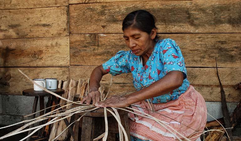 Weaving Maya Baskets The first part she does is the stake, she waves a spoke with 13 flat and flexible