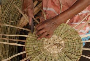 where we found the antique tradition of basket making using Bayal and Vara de
