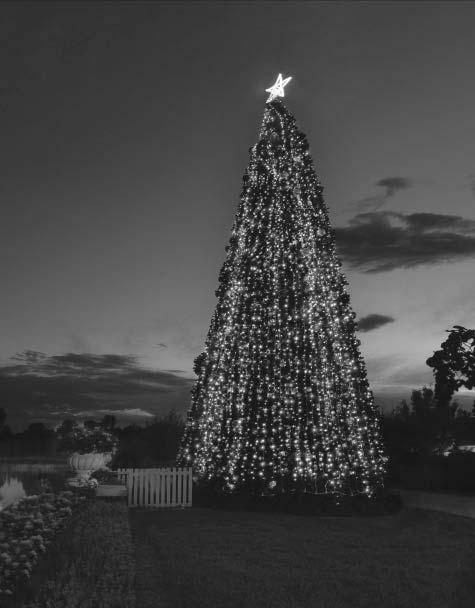 The Twelve Days of Christmas music and light display in the Border Garden, the cactus musical extravaganza and the three mega trees that are an incredible 12, 9 and 6 metres high are sure to amaze
