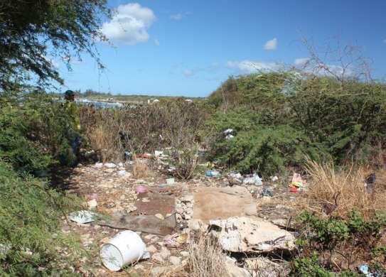 Sadly, much of the One ula shoreline has become a dumping ground for all kinds of ōpala.