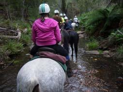 March option #3 Horse Riding at Coonawarra Students will travel to the Coonawarra Resort near the Mitchell River National Park.