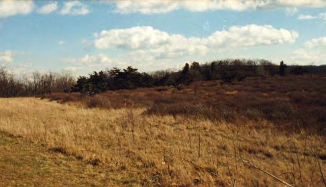 Big Meadows, Prior to