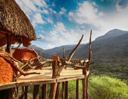 Relax around the lodge pool, go on game drives, bush walks, meet the conservancy s rhino and visit the Maasai cultural Manyatta (village).