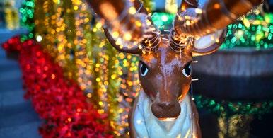 key events Meet Santa's Reindeer Frock Around the Clock Fair Saturday 24th November 12.00pm-4.00pm Saturday 1st December 12.00pm-5.
