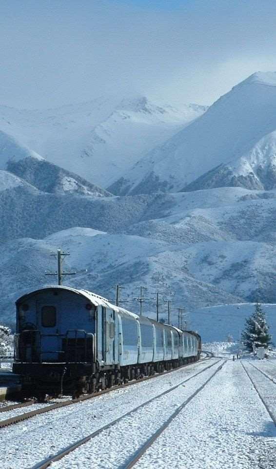 Scenic Journeys capacity and demand (MBIE) 192 The TranzAlpine service has many more seats than the other two, growing steadily from the low of 13,800 in June 2015 to a high of 22,800 in March 2016.