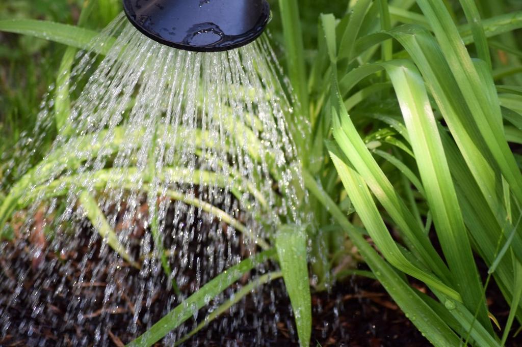 Summer watering: avoid wasting our precious resource! In the summer, water waste, the wealth we have, is more common.