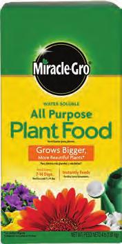Plant Food All purpose,