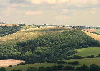 Hill from Beacon