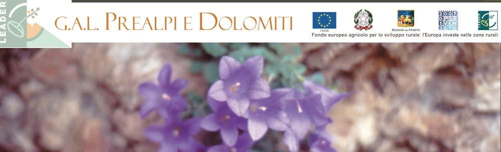 Local Action Group Prealpi e Dolomiti The main task is the implementation of the measures and