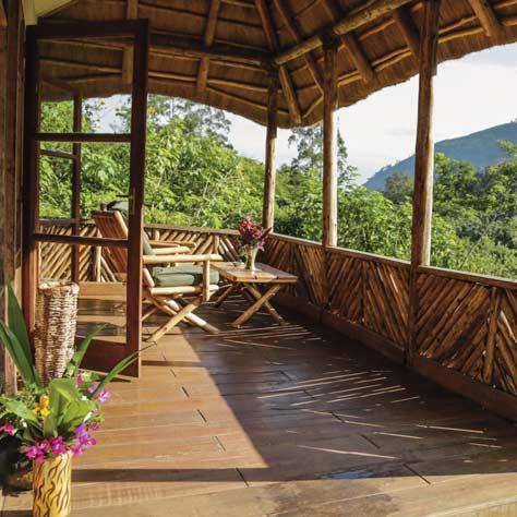 Accommodation Public Areas The lodge s eight bandas offer elegance and great comfort, with their stylish jungle design.