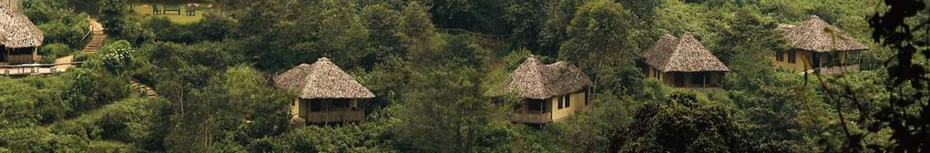 Journey and Stay A stay at Volcanoes Bwindi Lodge takes clients on a journey to the heart of Africa: The Lodge: getting there 1 hour light aircraft flight from Entebbe (followed by an hour s scenic