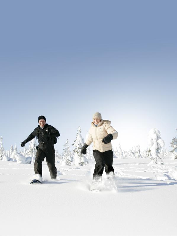 KOUTA Arctic circle POSIO LAPLAND FINLAND ROVANIEMI Kuusamo > Posio Rovaniemi > Posio Oulu > Posio Helsinki > Posio 59 km 132 km 221 km