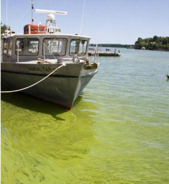 Paul Klein, Publisher (216) 377-3693, klein@glpublishingcom EPA accepting algal bloom reports The Ohio Department of Health is encouraging everyone who sees surface scum or something that looks like