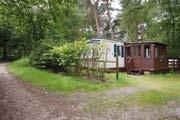 260-595 per week Green Shores Kelling Heath Holiday Park 6 Surrounded by