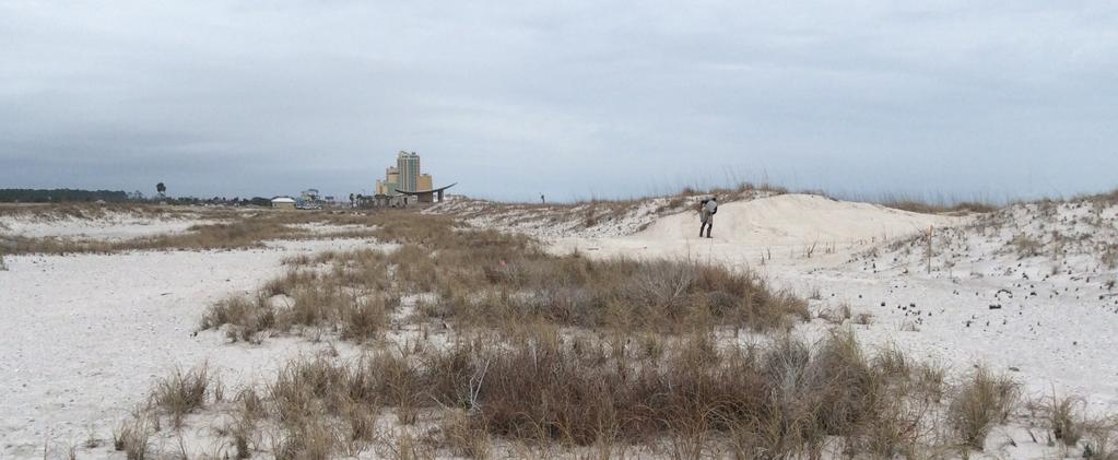 PROJECT OVERVIEW: Dune Restoration An Innovative Return to Natural Systems Goal: Restore