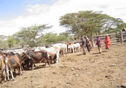 to maintain order in the greater northern Kenya