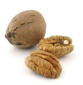 acorn, pecan, tumbleweed (whole plant rolls) Sticks to animals: burdock, cocklebur,