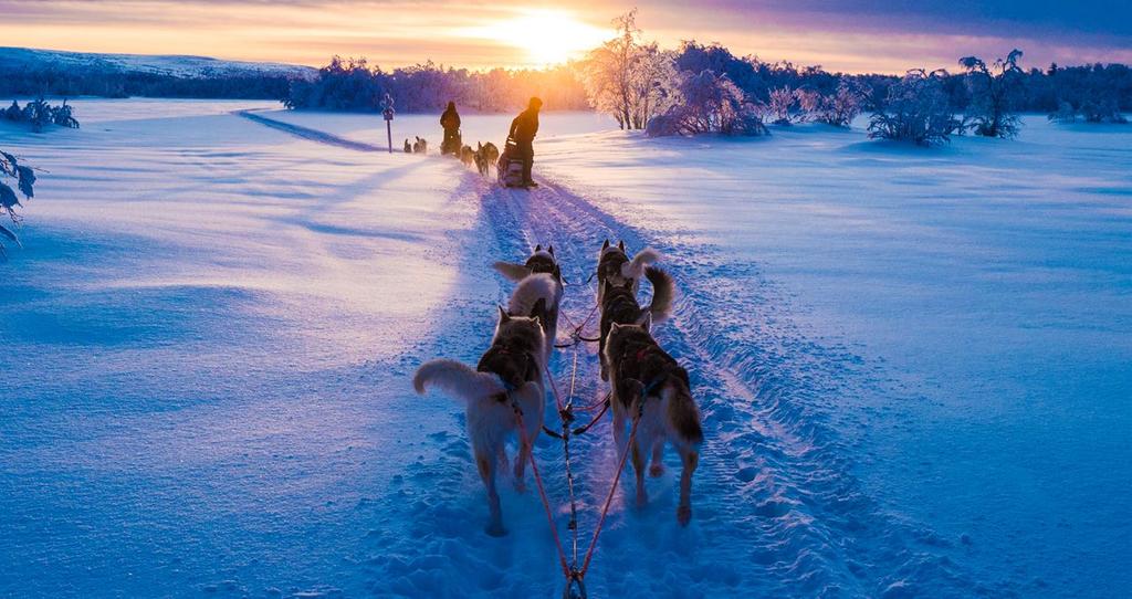 EXCURSIONS 2018-2019 Husky Transfers to and from between the husky farm and hotel reception by minibus Guidance on how to ride the husky sledges