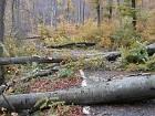 Problems in the Park Some of specific problems that Nature Park Medvednica faces: -0,8 mil.