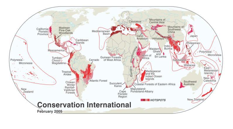 The Region s Diversity 5,000 islands ( 2-3% of all vertebrates and plant species) Largest grouping of SIDS in the world High terrestrial island endemism (~50% ) 32 species of marine mammals 2 of the
